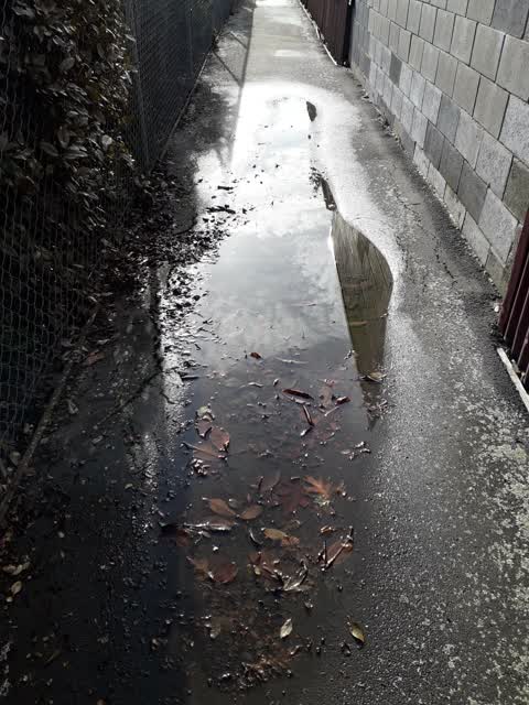 Flooding, a report photo