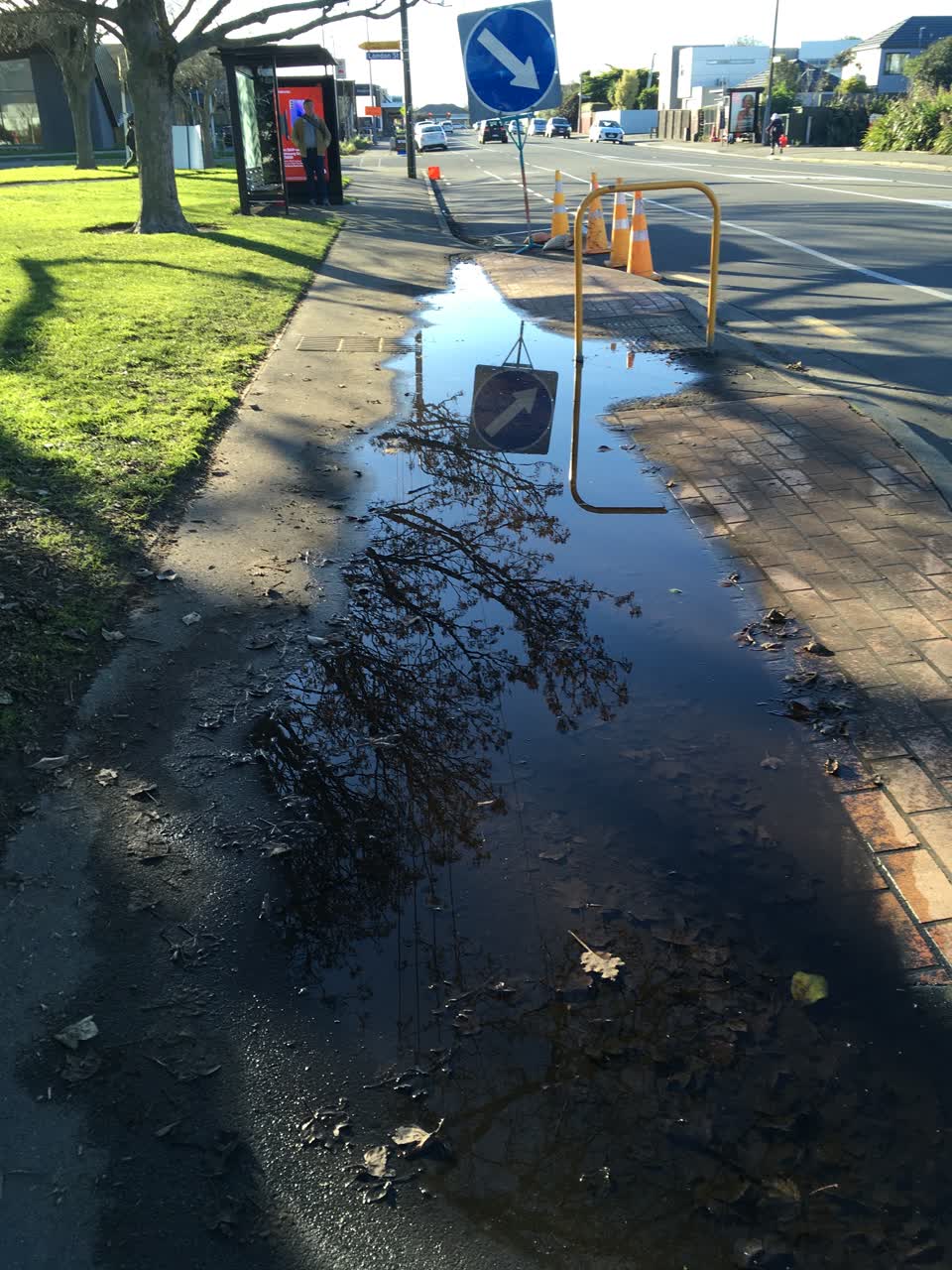 The photograph attached to this roading/streets report
