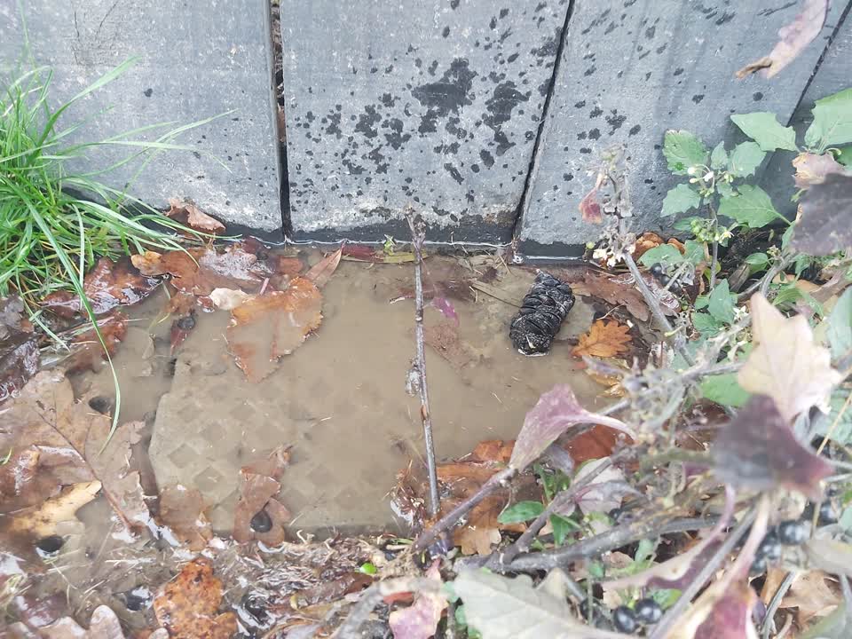 The photograph attached to this water leak report