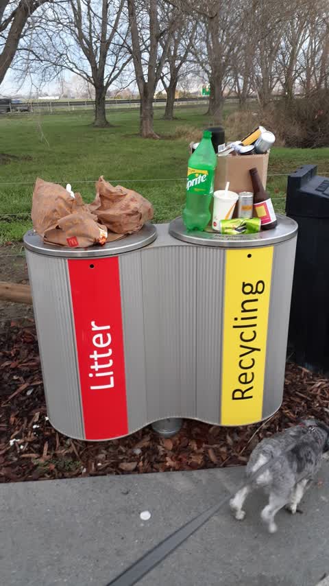 Rubbish/Recycling, a report photo