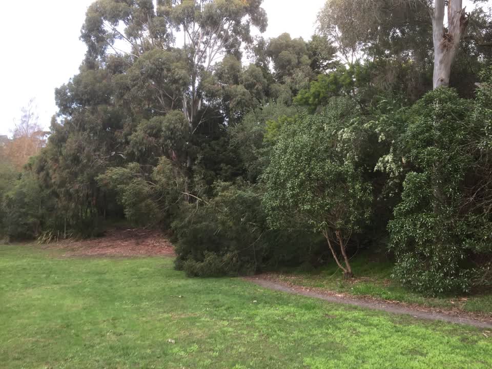 The photograph attached to this parks report