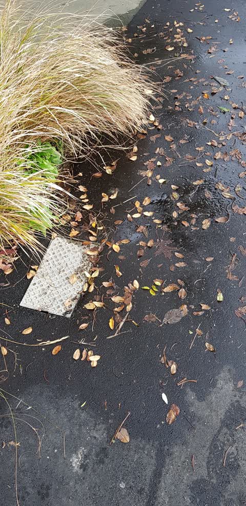 Water Leak, a report photo