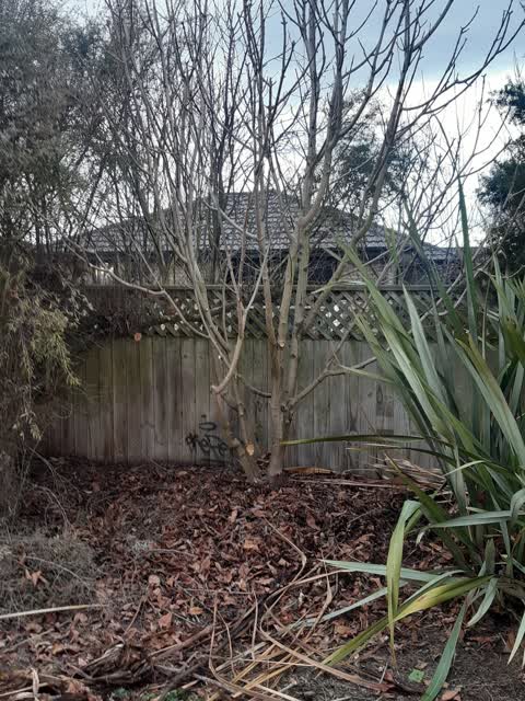 Parks, a report photo
