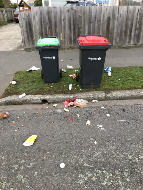 Rubbish/Recycling, a report photo