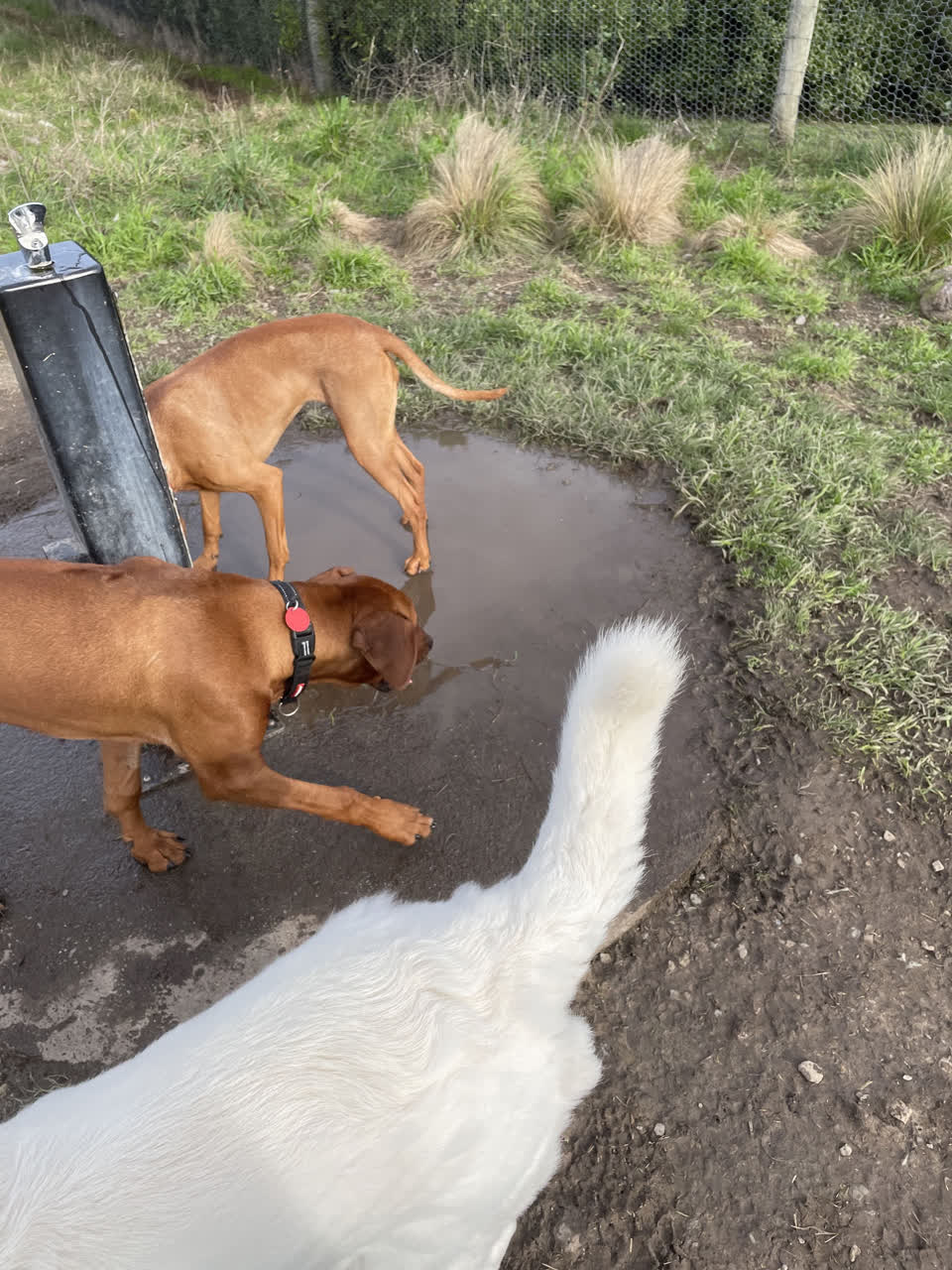 The photograph attached to this wastewater/stormwater report