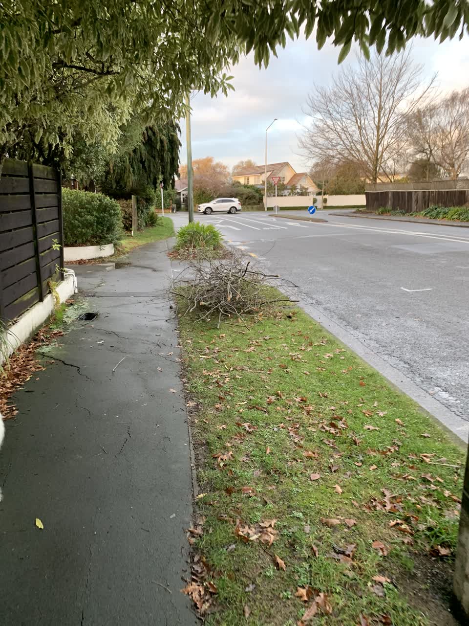 The photograph attached to this roading/streets report