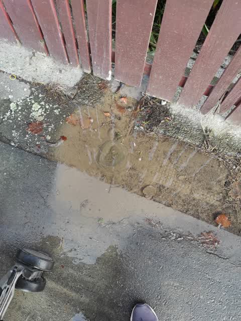 Water Leak, a report photo