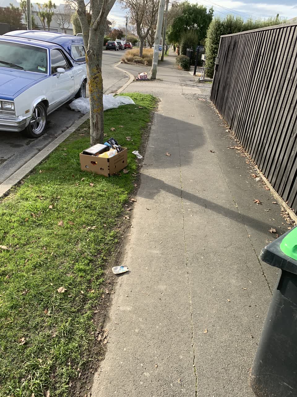 The photograph attached to this rubbish/recycling report