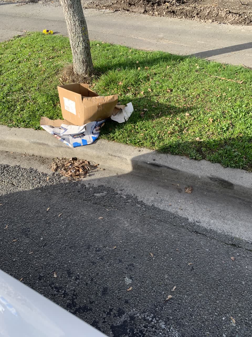 The photograph attached to this rubbish/recycling report