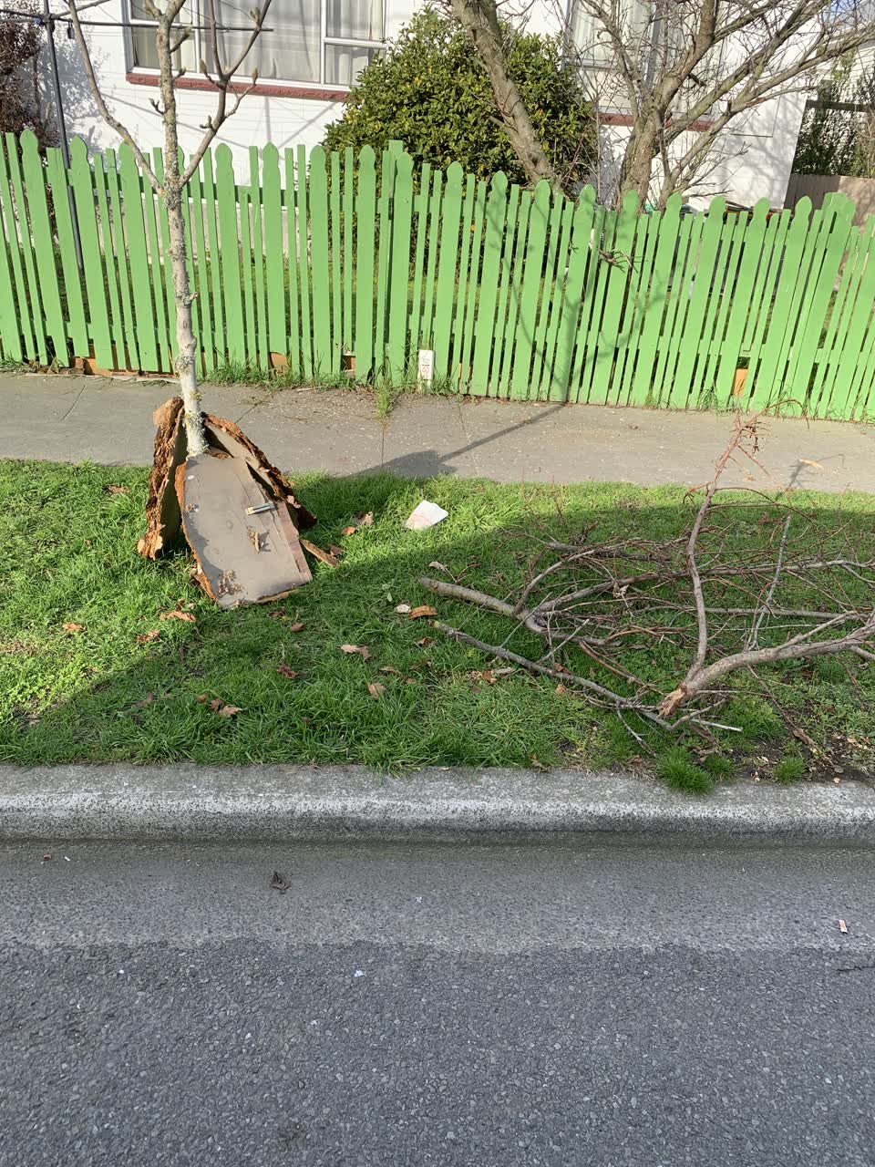 The photograph attached to this rubbish/recycling report