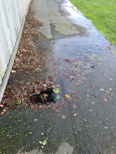 Water Leak, a report photo