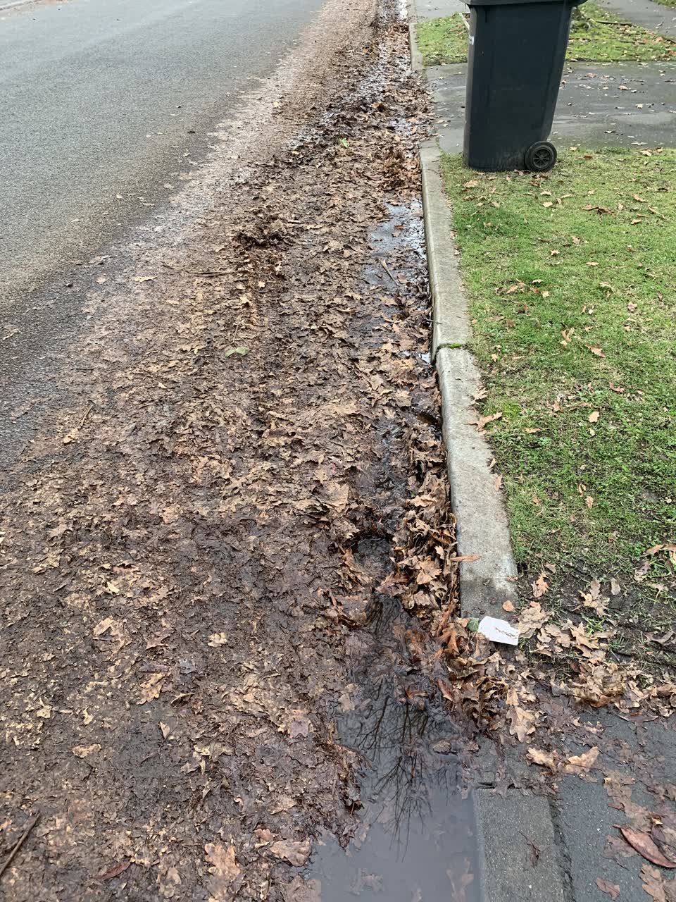 The photograph attached to this roading/streets report