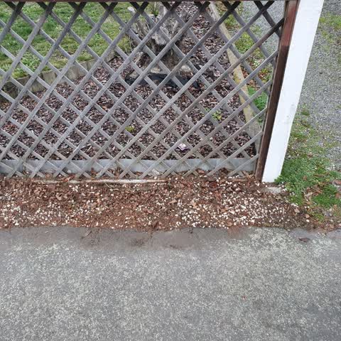 Roading/Streets, a report photo