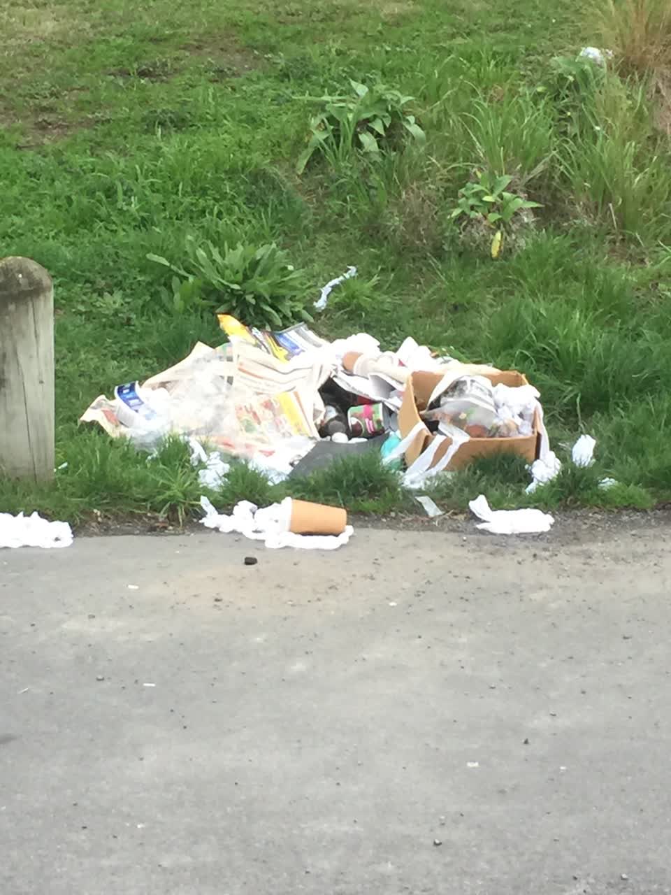 The photograph attached to this rubbish/recycling report