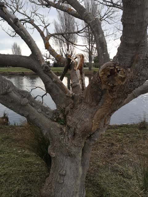 Parks, a report photo