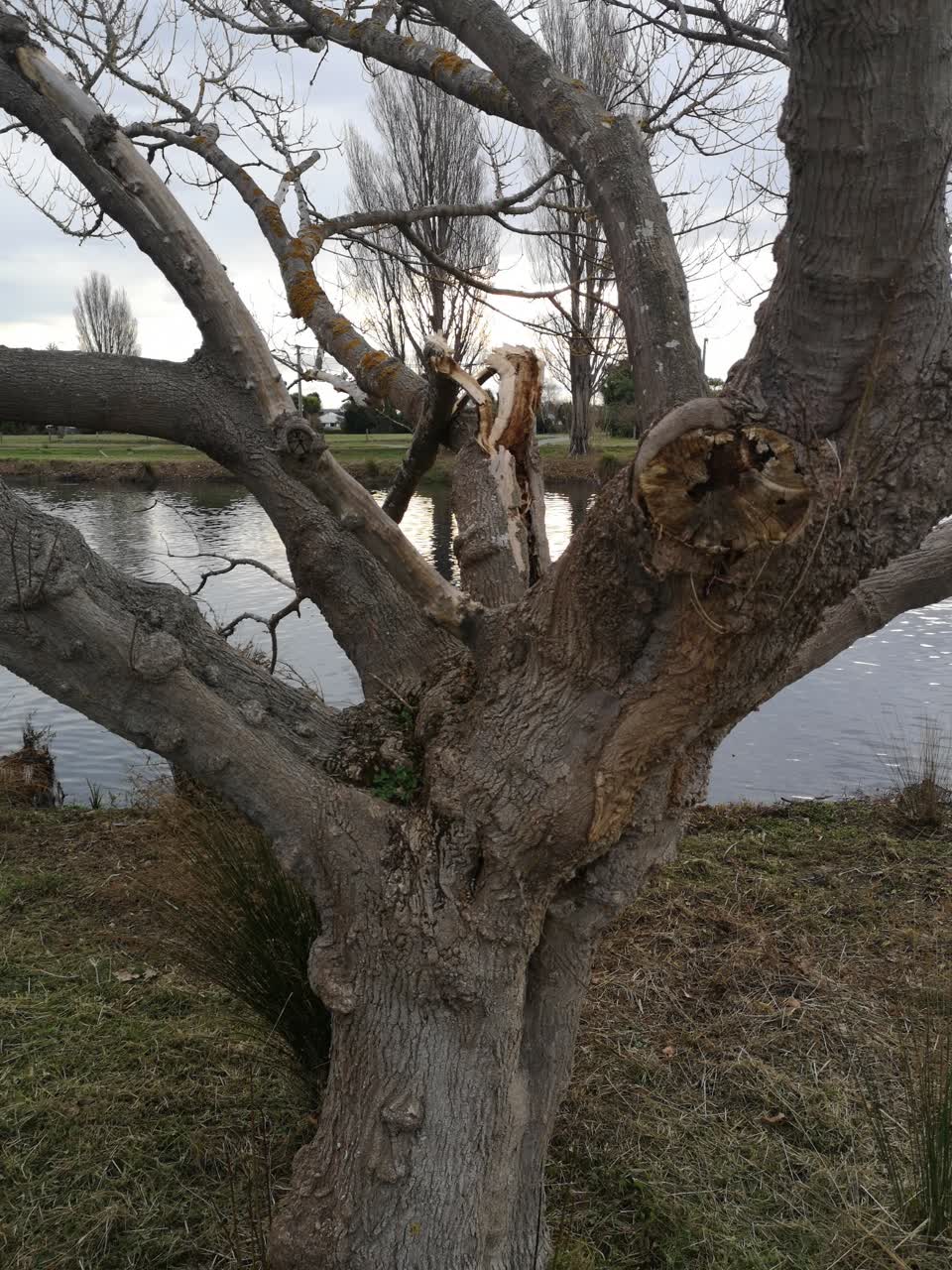 The photograph attached to this parks report