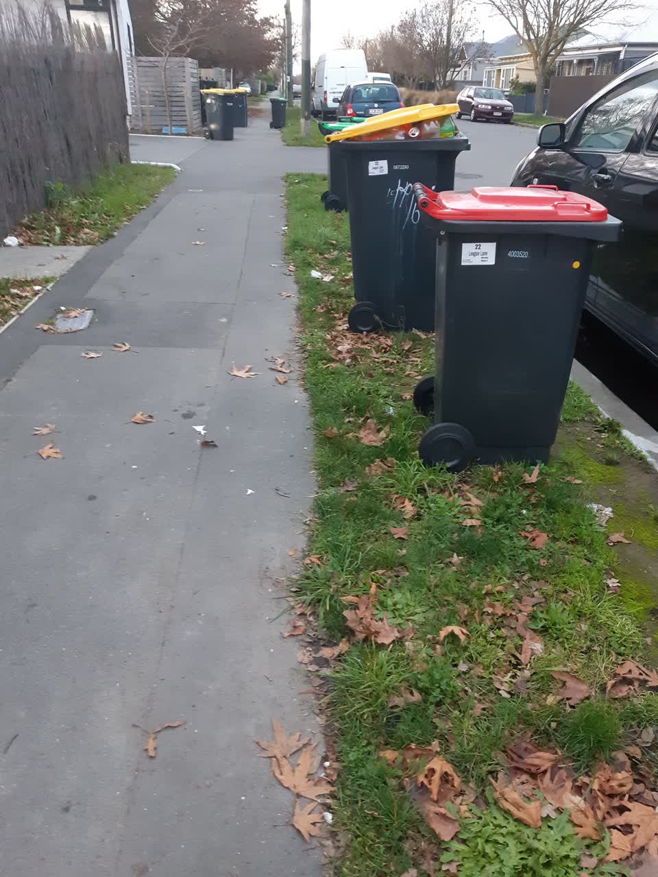 The photograph attached to this rubbish/recycling report