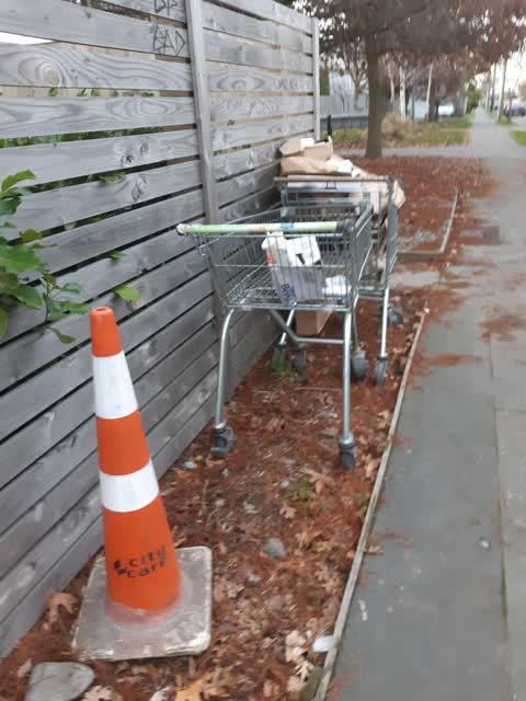 Rubbish/Recycling — a report photo