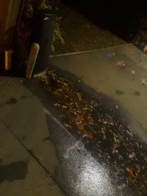 Water Leak, a report photo