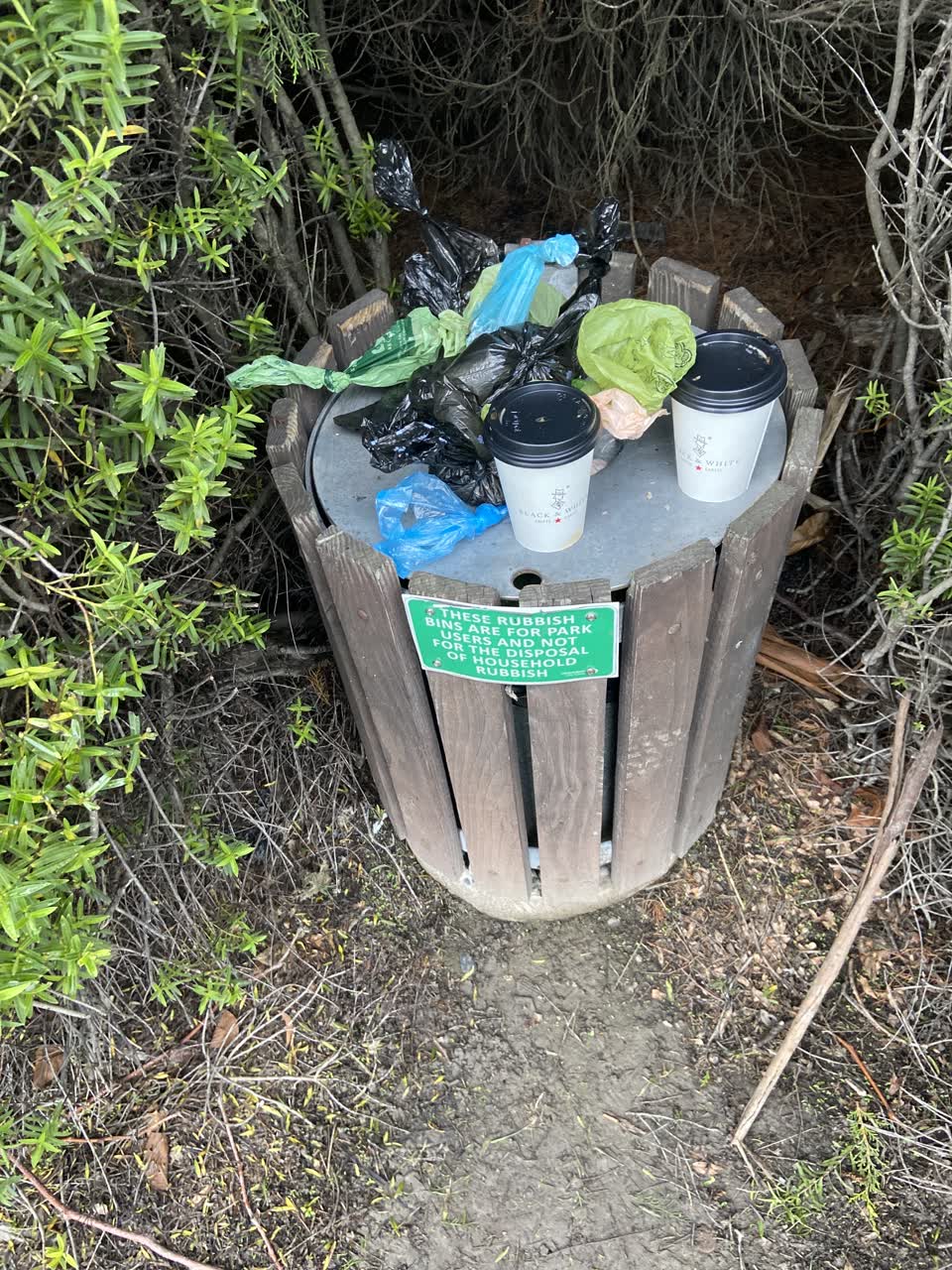 The photograph attached to this parks report