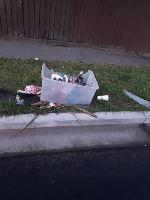 Rubbish/Recycling, a report photo