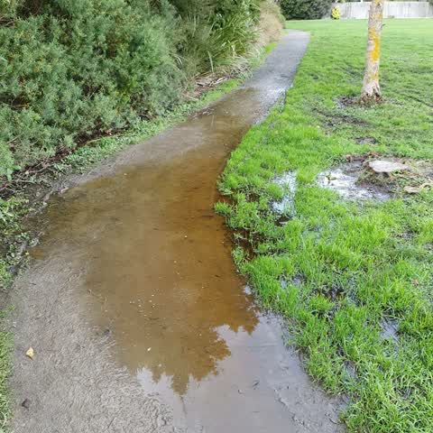 Parks, a report photo