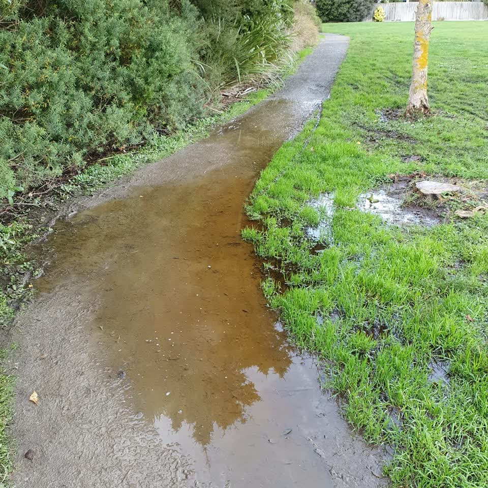 The photograph attached to this parks report
