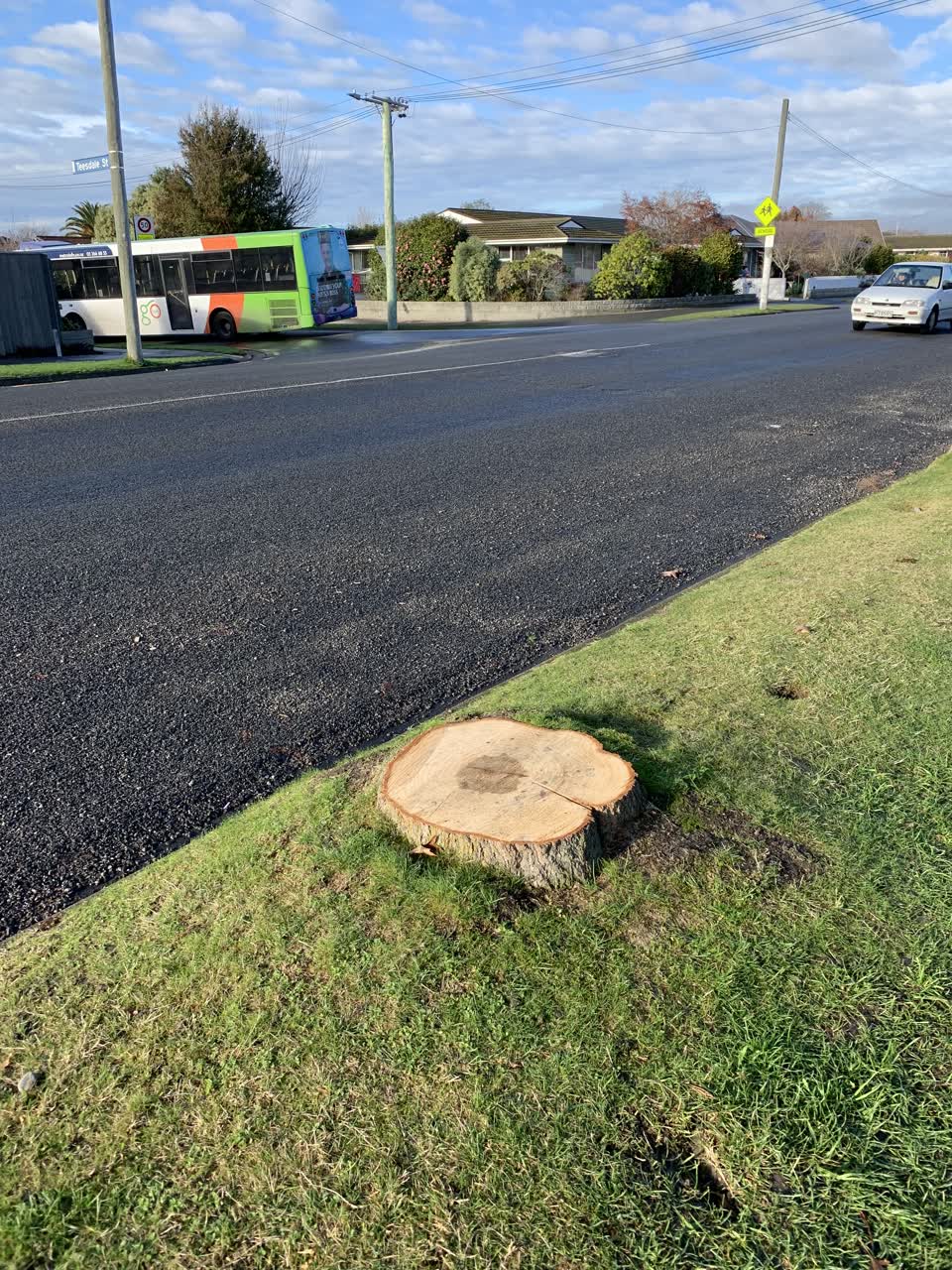 The photograph attached to this roading/streets report