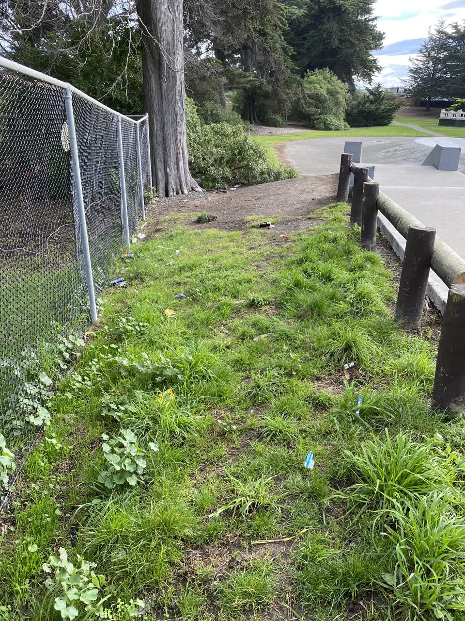 The photograph attached to this rubbish/recycling report