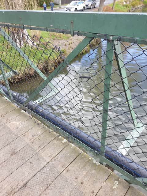 Parks — a report photo
