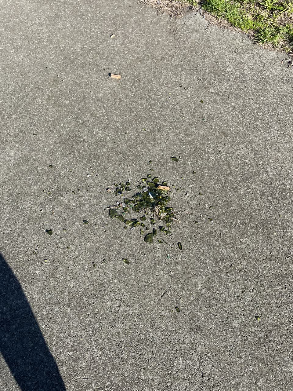 The photograph attached to this parks report
