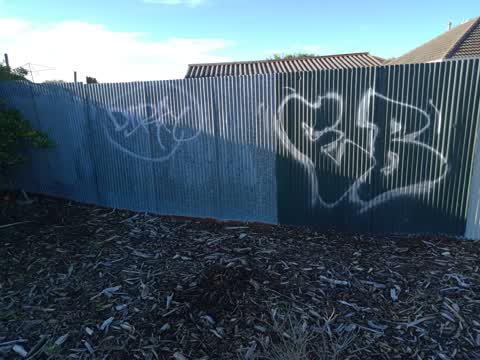 Graffiti, a report photo