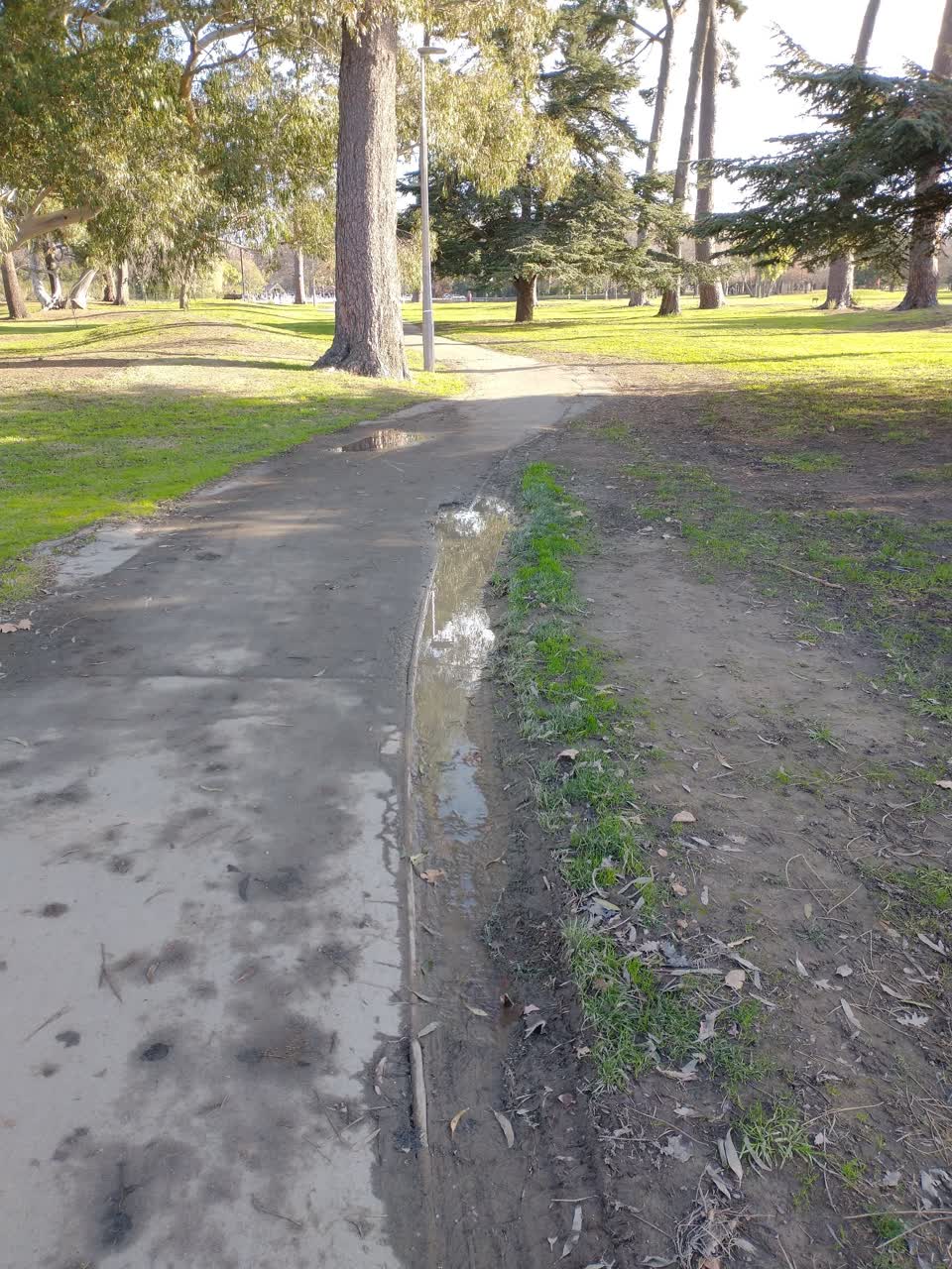 The photograph attached to this parks report