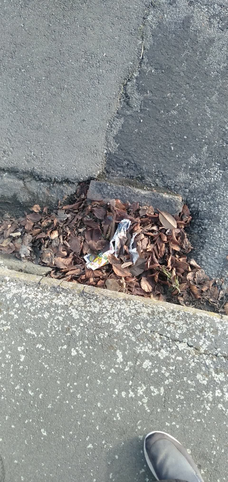 The photograph attached to this flooding report
