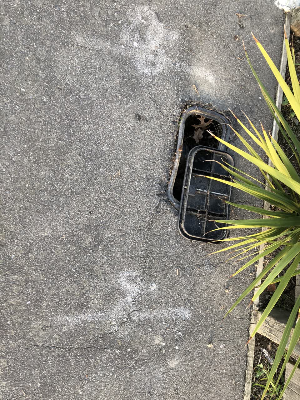 The photograph attached to this water supply report