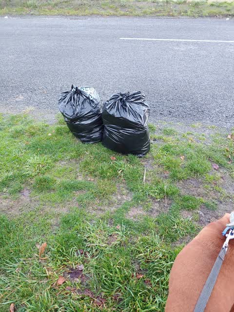 Rubbish/Recycling, a report photo