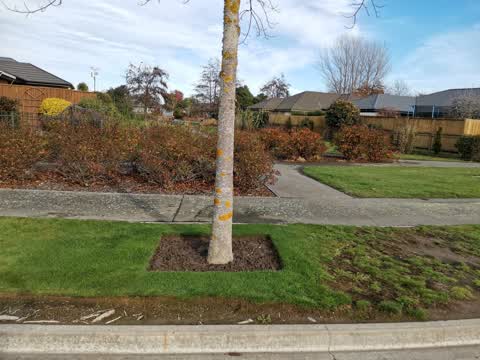 Parks, a report photo