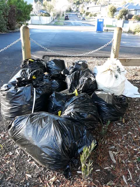 Rubbish/Recycling — a report photo