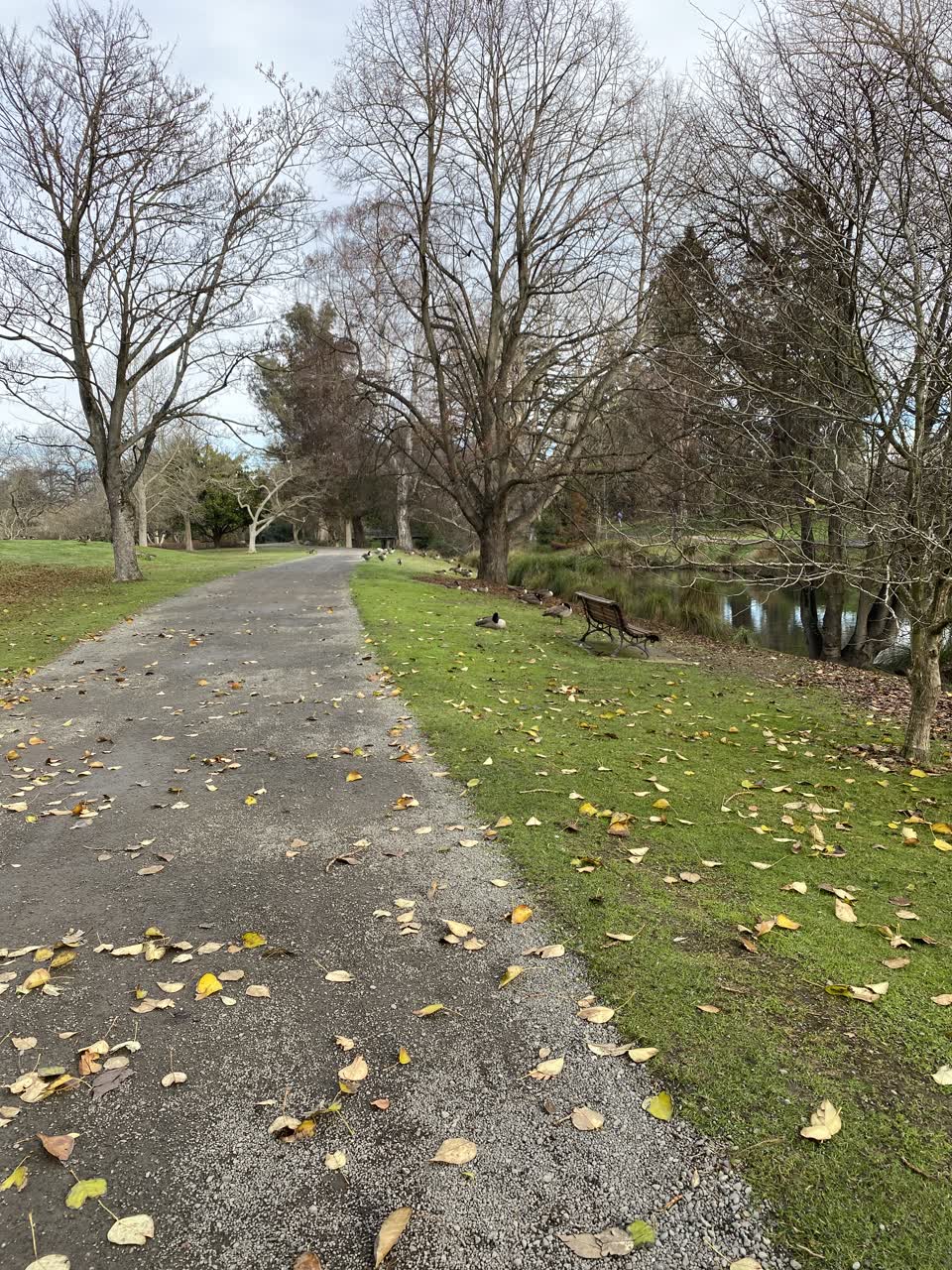 The photograph attached to this parks report