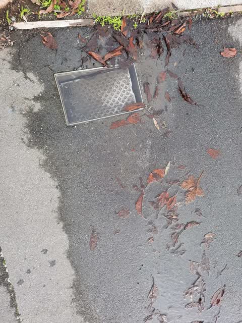 Water Leak, a report photo