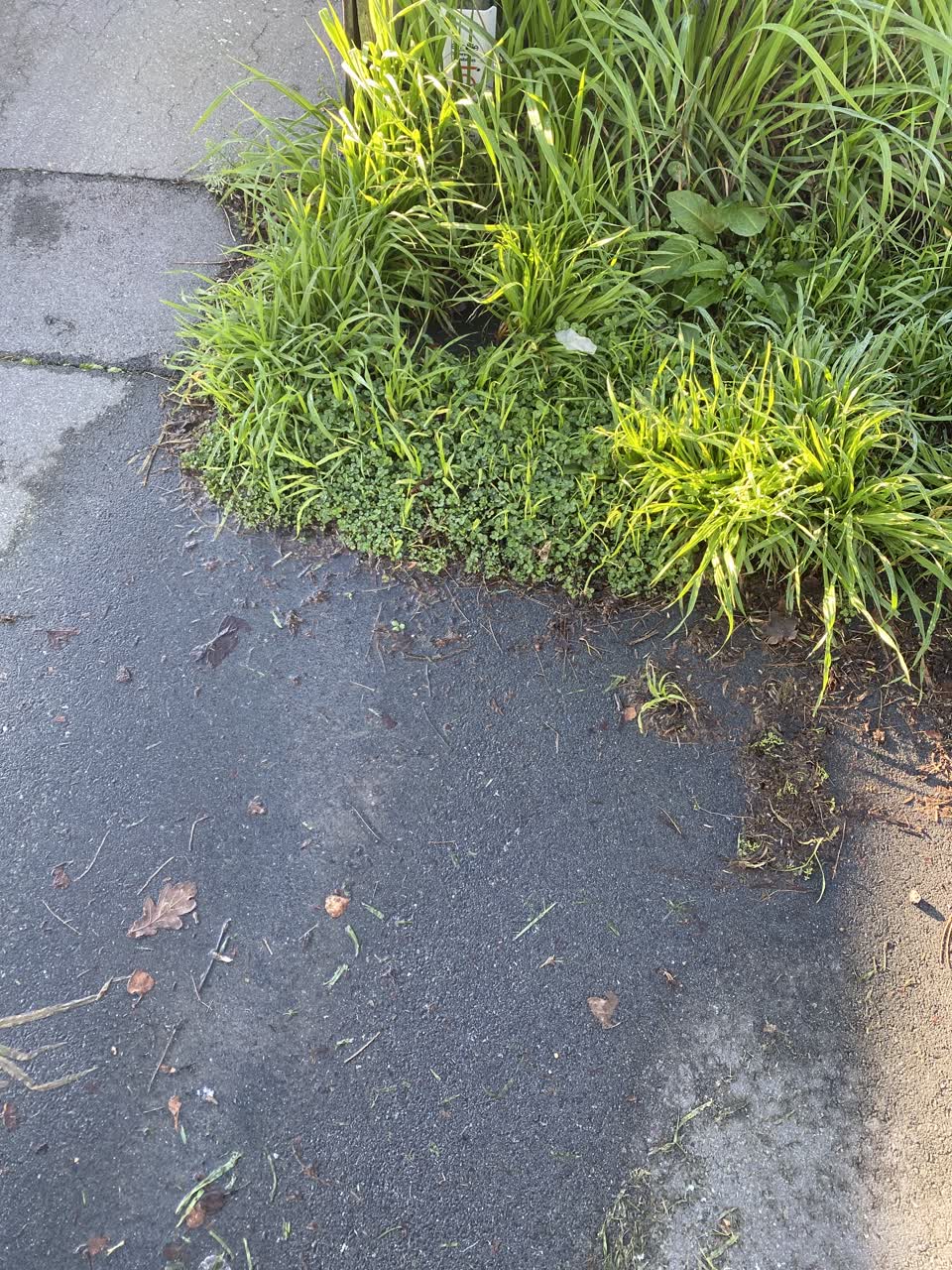 The photograph attached to this water leak report