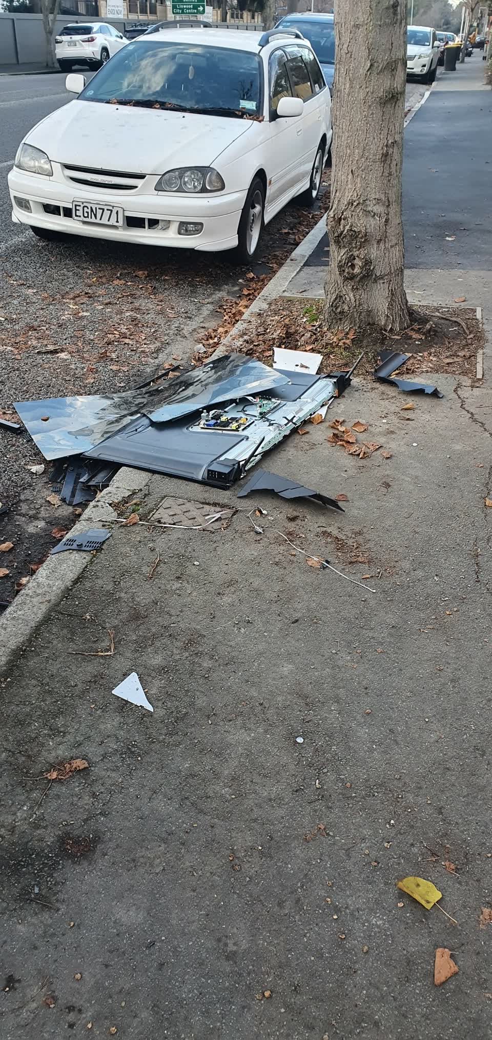The photograph attached to this rubbish/recycling report