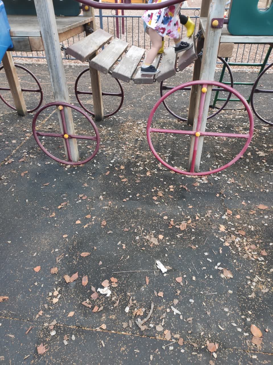 The photograph attached to this parks report