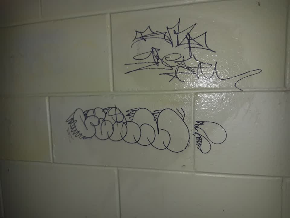 The photograph attached to this graffiti report