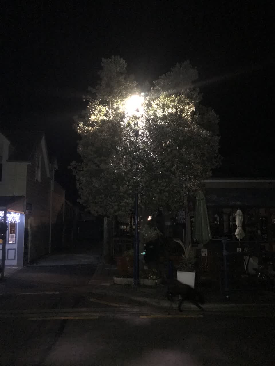 The photograph attached to this street light outage report