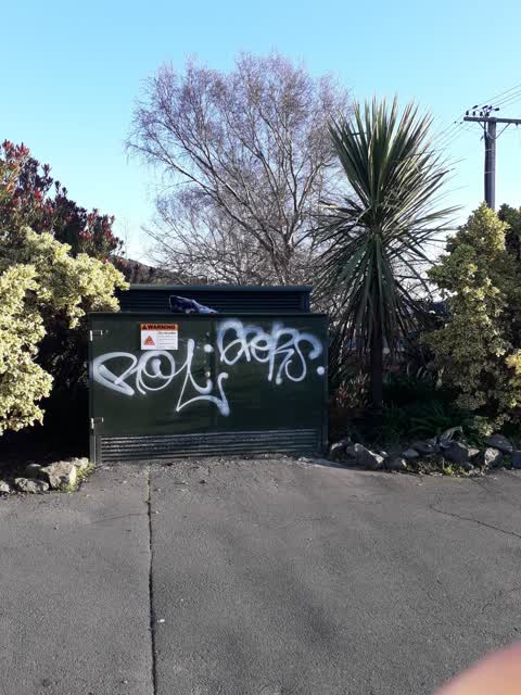 Graffiti, a report photo