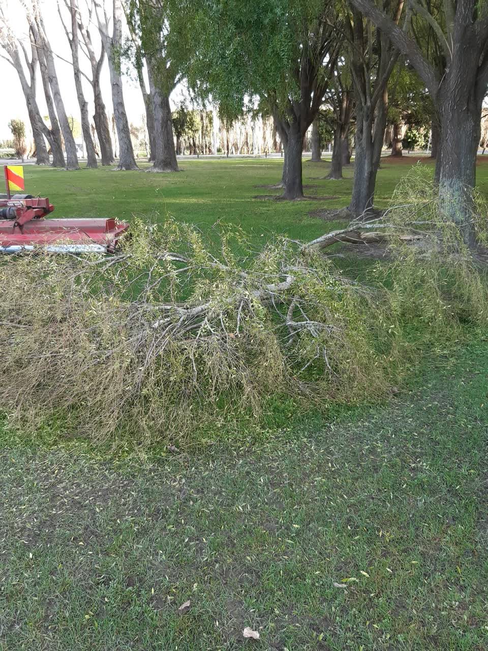 The photograph attached to this parks report