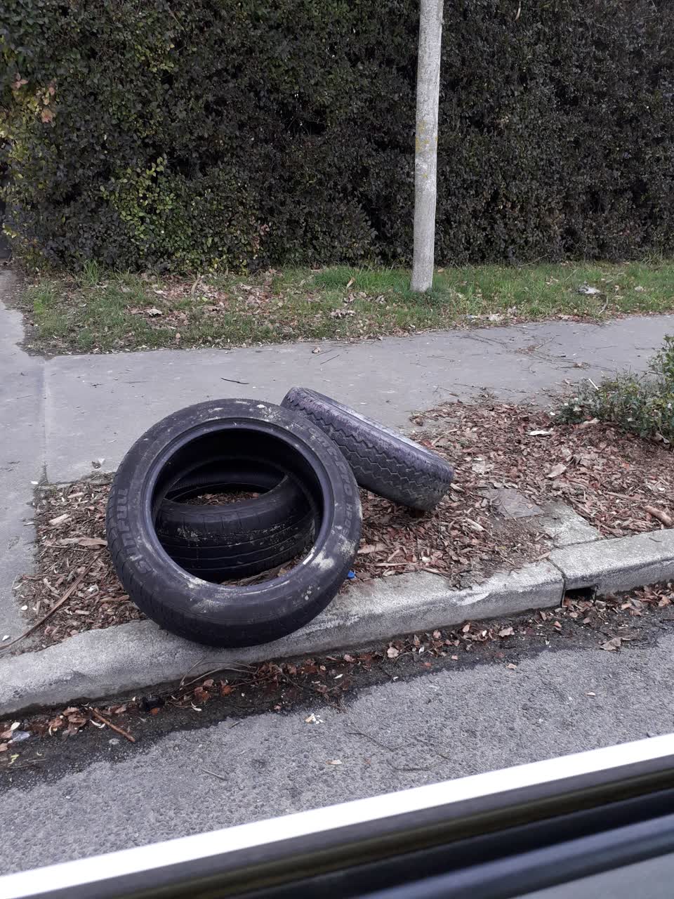 The photograph attached to this rubbish/recycling report