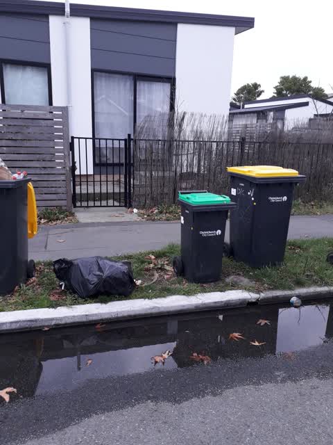 Rubbish/Recycling — a report photo