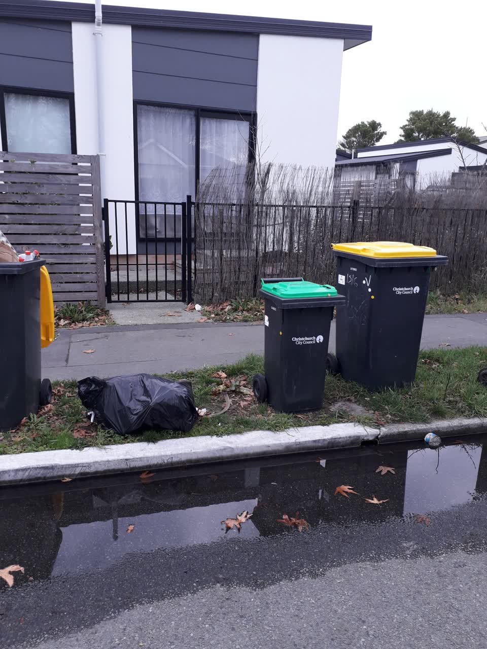 The photograph attached to this rubbish/recycling report